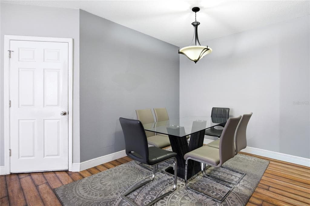 1033 BLACKWATER DRIVE, WESLEY CHAPEL, FL 33543 — zdjęcie 5