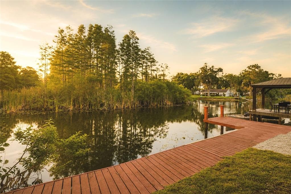 17002 PAULA LANE, LUTZ, FL 33558 — zdjęcie 3