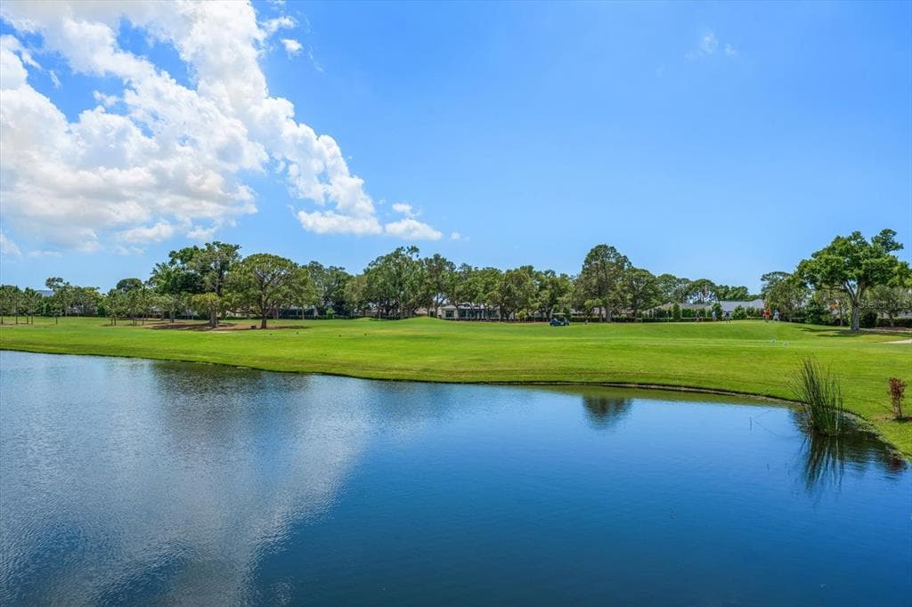 19 HIBISCUS ROAD, BELLEAIR, FL 33756 — zdjęcie 5