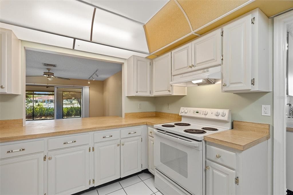 1027 BLUEWATER DRIVE, SUN CITY CENTER, FL 33573 — zdjęcie 3