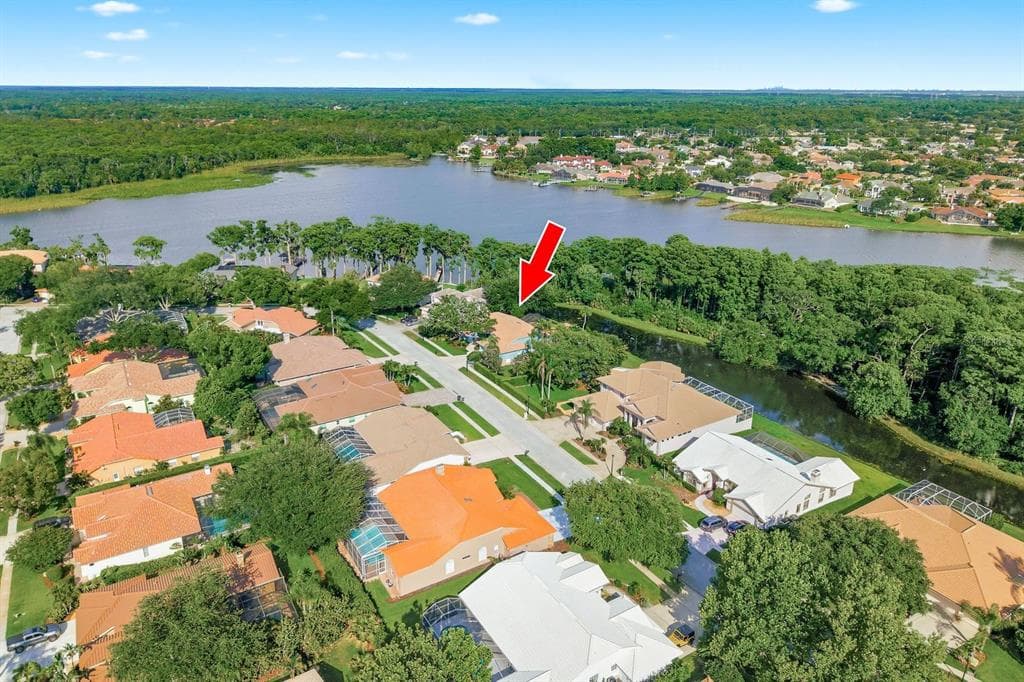 3930 TARIAN COURT, PALM HARBOR, FL 34684 — zdjęcie 2