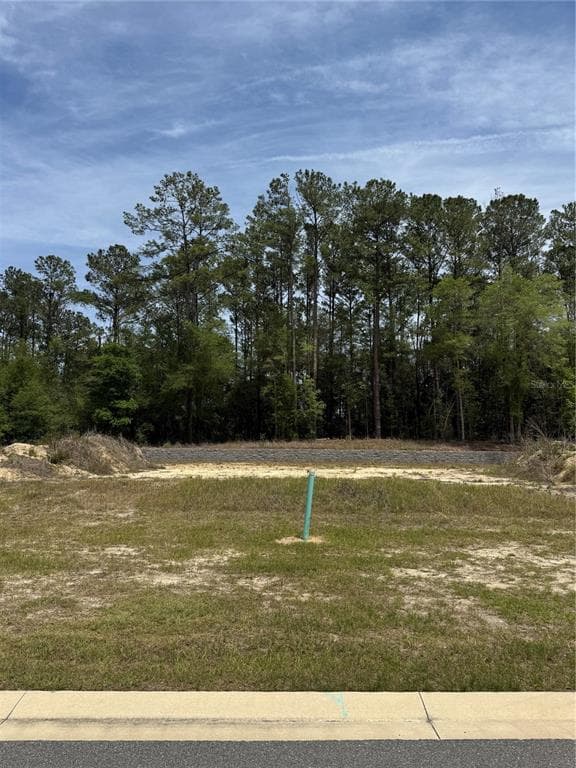 1047 SW 147TH TERRACE, NEWBERRY, FL 32669 — zdjęcie 5