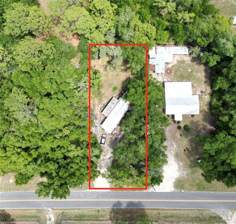 4667 NE 140TH COURT, WILLISTON, FL 32696 — zdjęcie 2