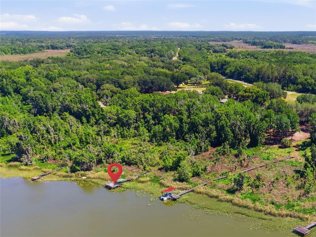 3980 SE 183RD AVENUE ROAD, OCKLAWAHA, FL 32179 — zdjęcie 2