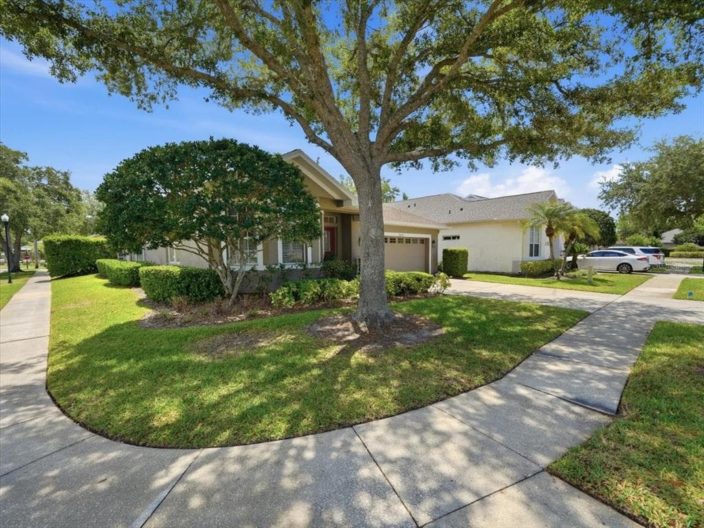 19409 GOLDEN SLIPPER PLACE, LUTZ, FL 33558 — zdjęcie 2