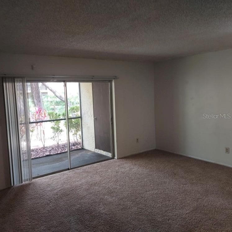 14111 MOSSY GLEN LANE # 101C, TAMPA, FL 33613 — zdjęcie 4