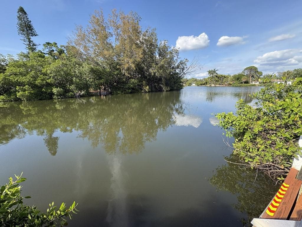 1549 DELAWARE AVENUE NE, ST PETERSBURG, FL 33703 — zdjęcie 5