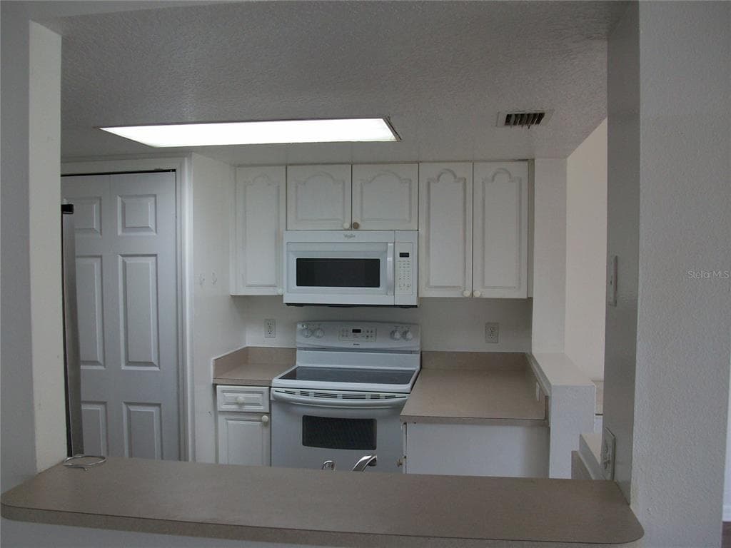 511 COCONUT PALM WAY, DAVENPORT, FL 33897 — zdjęcie 4
