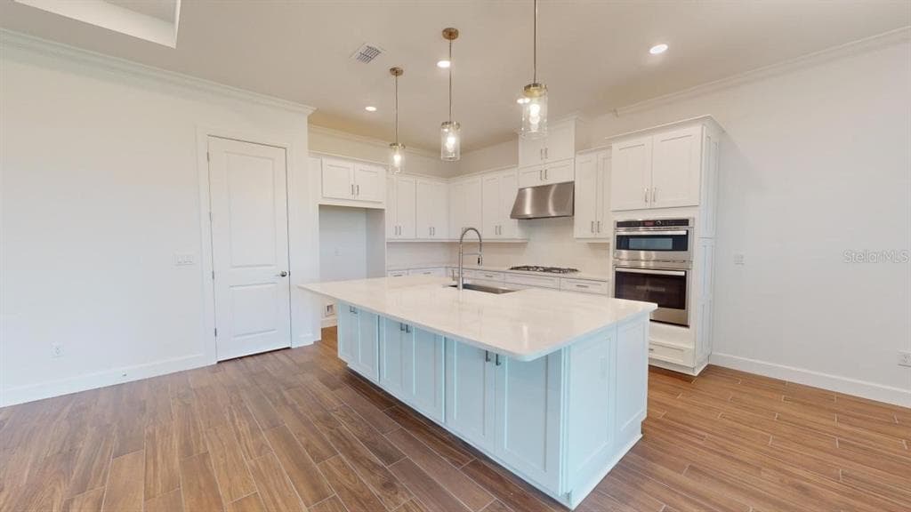 30175 IMPERATI BOULEVARD, WESLEY CHAPEL, FL 33543 — zdjęcie 2