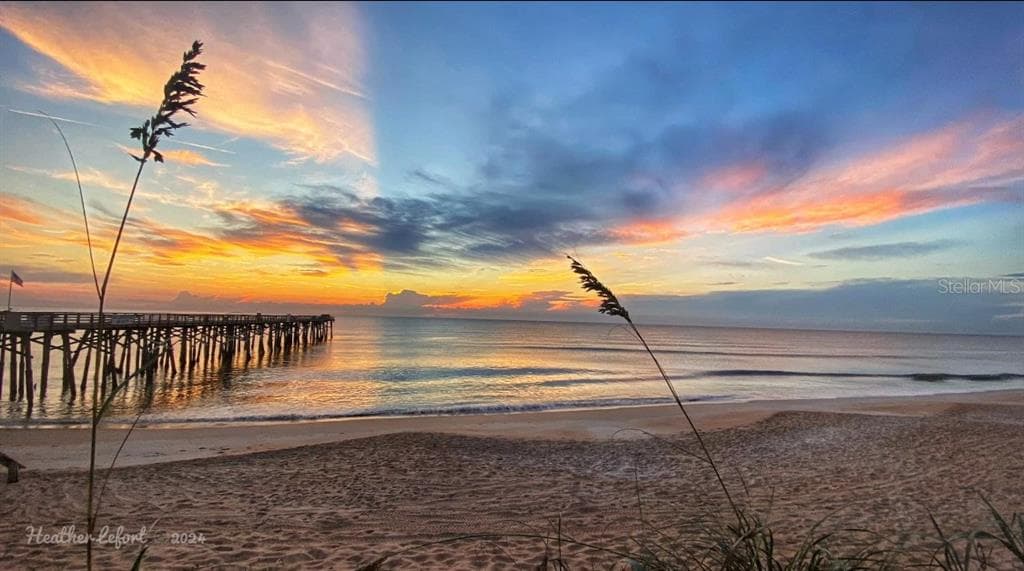 1436 S FLAGLER AVENUE, FLAGLER BEACH, FL 32136 — zdjęcie 5