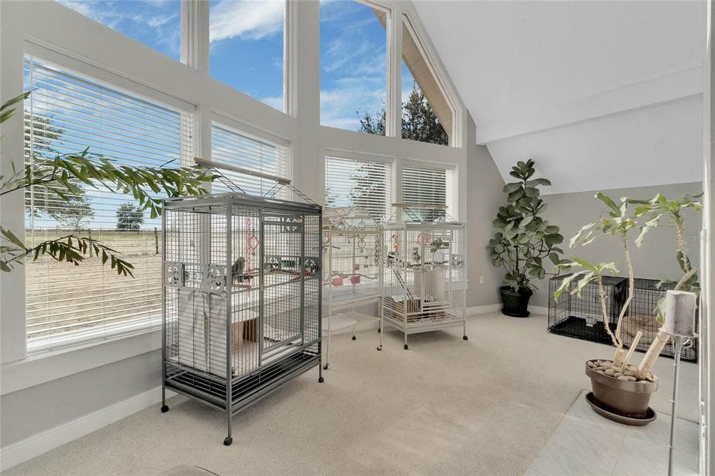 16131 JOHNS LAKE ROAD, CLERMONT, FL 34711 — zdjęcie 2