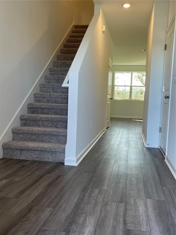 6163 DAERR RIDGE STREET, ZEPHYRHILLS, FL 33542 — zdjęcie 3