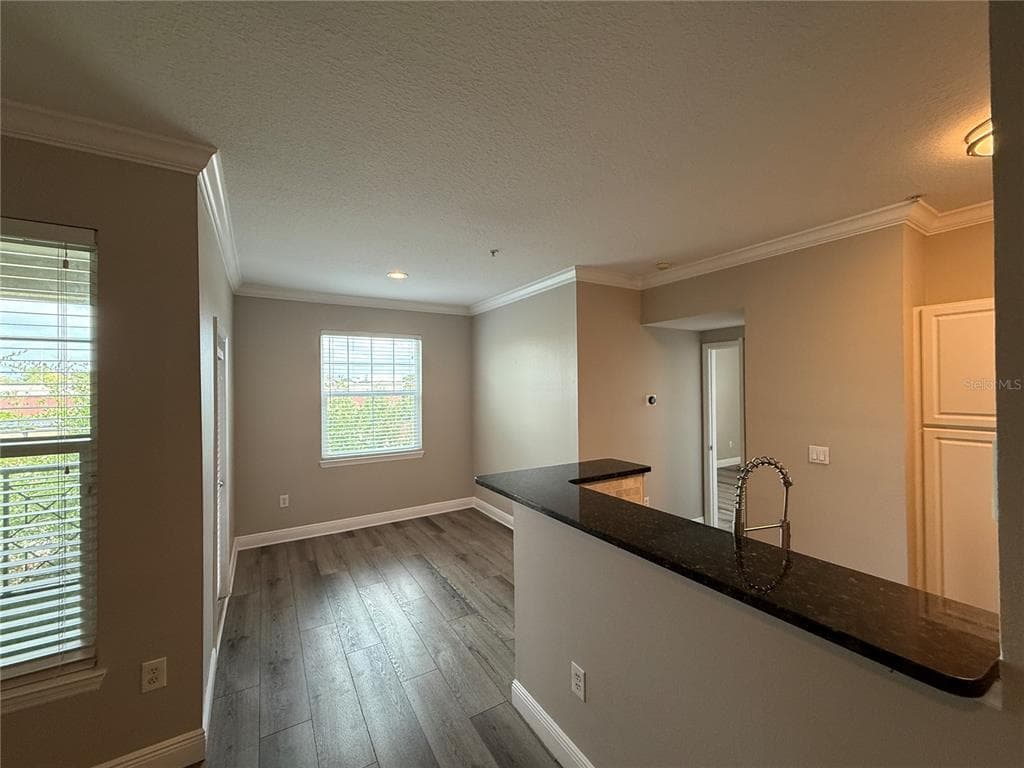 1910 E PALM AVENUE # 11321, TAMPA, FL 33605 — zdjęcie 4