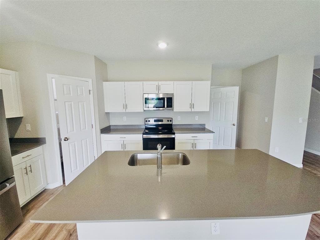 34436 MOONFLOWER AVENUE, WESLEY CHAPEL, FL 33545 — zdjęcie 4