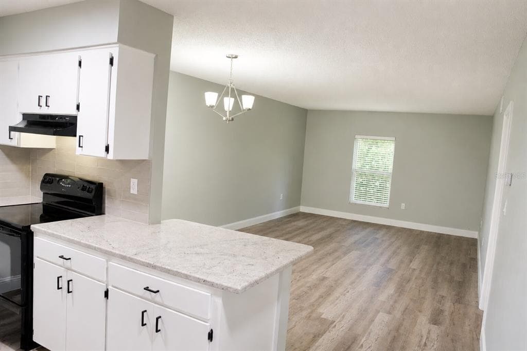 165 PICARDY VILLA CIRCLE # 201, BRANDON, FL 33510 — zdjęcie 5