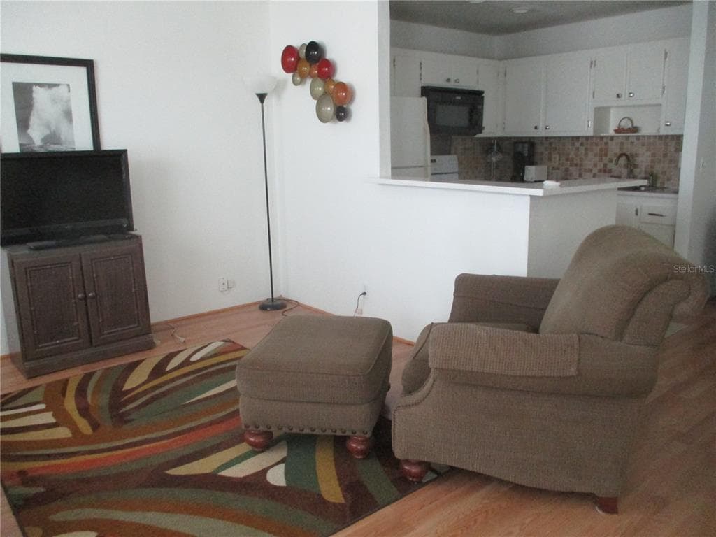 101 CAMBRIDGE TRAIL # 211, SUN CITY CENTER, FL 33573 — zdjęcie 3