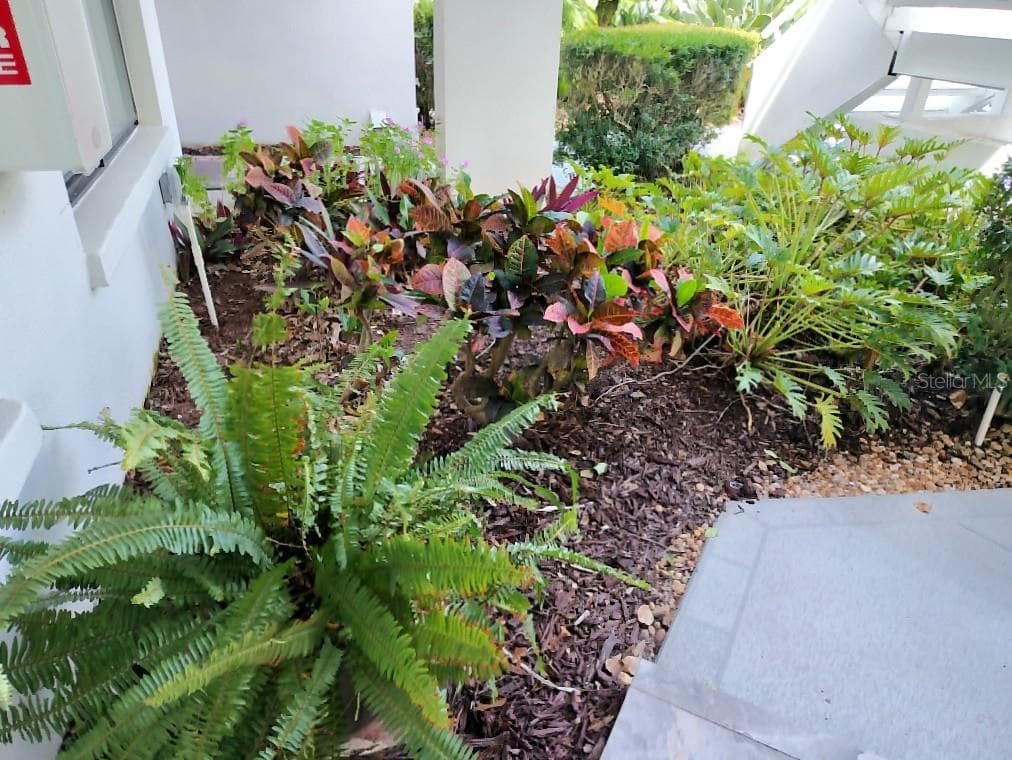 3549 INDIGO POND DRIVE # 2, PALM HARBOR, FL 34685 — zdjęcie 3