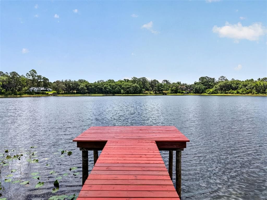493 MALAUKA LOOP, OCKLAWAHA, FL 32179 — zdjęcie 2