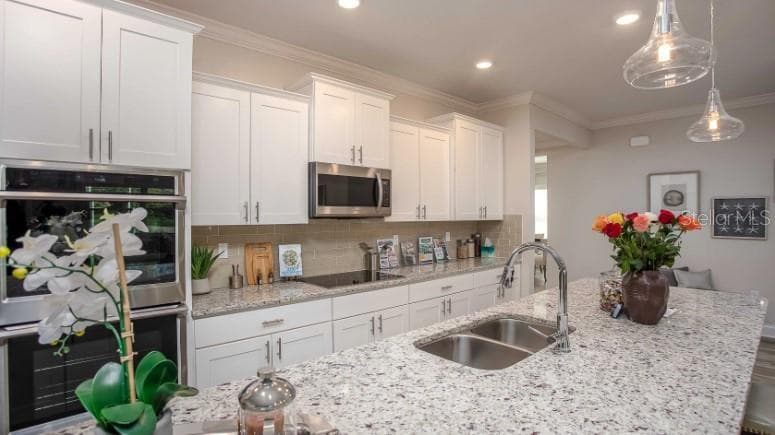 49 VINCA STREET, HOMOSASSA, FL 34446 — zdjęcie 4