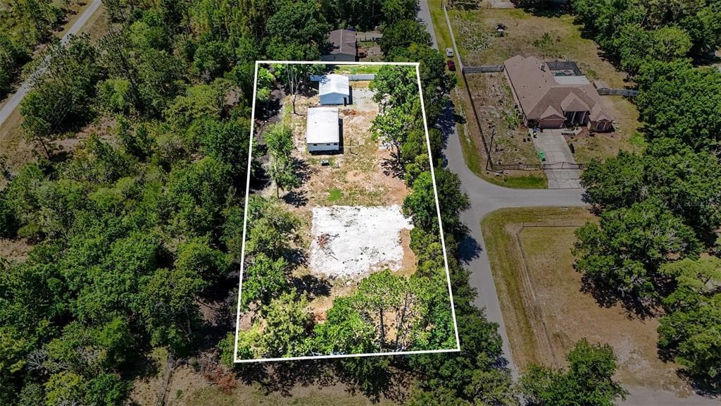 1346 SIERRA PINES BLVD, LUTZ, FL 33558 — zdjęcie 3