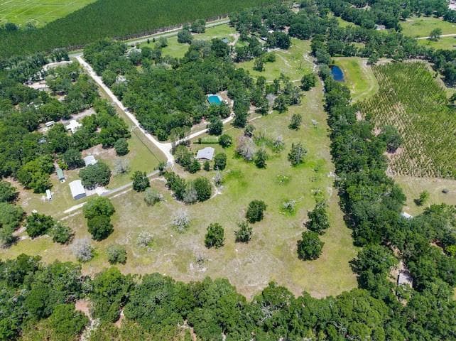 289 SW PURITAN PLACE, LAKE CITY, FL 32024 — zdjęcie 5