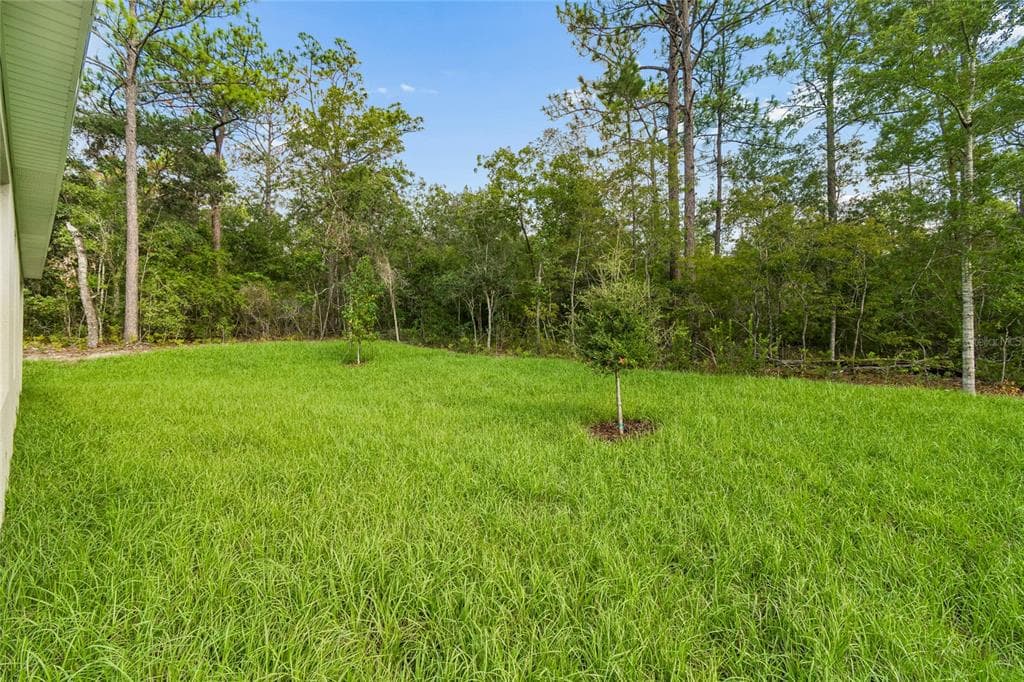 1591 DOLORES, DUNNELLON, FL 34434 — zdjęcie 2