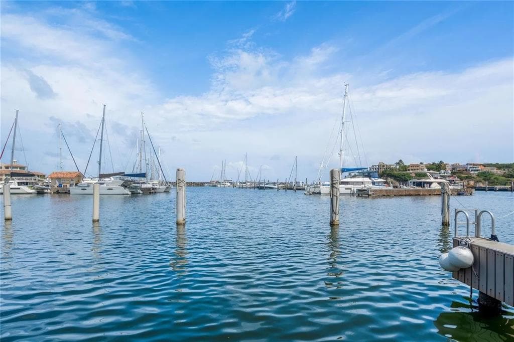 69 ISLA SAN MIGUEL, HUMACAO, PR 00791