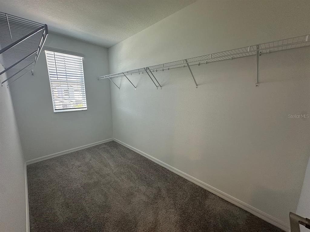 2505 VICTORIOUS FALLS AVENUE, PLANT CITY, FL 33565 — zdjęcie 3