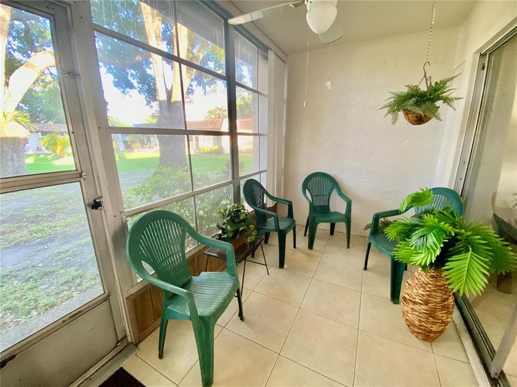 3157 MISSION GROVE DRIVE, PALM HARBOR, FL 34684 — zdjęcie 5