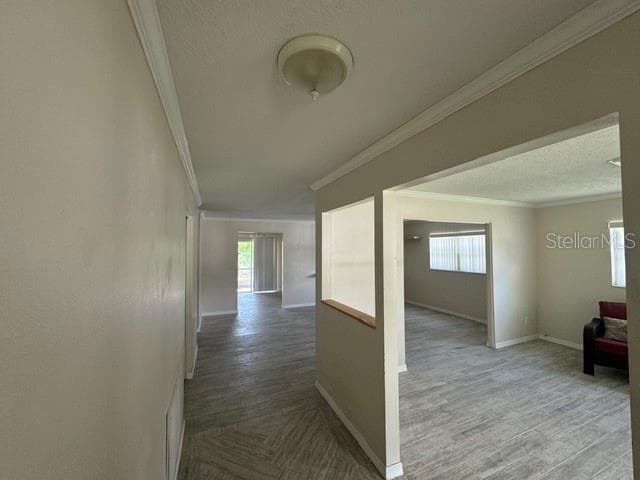 1404 SANDALWOOD DRIVE, DUNEDIN, FL 34698 — zdjęcie 3
