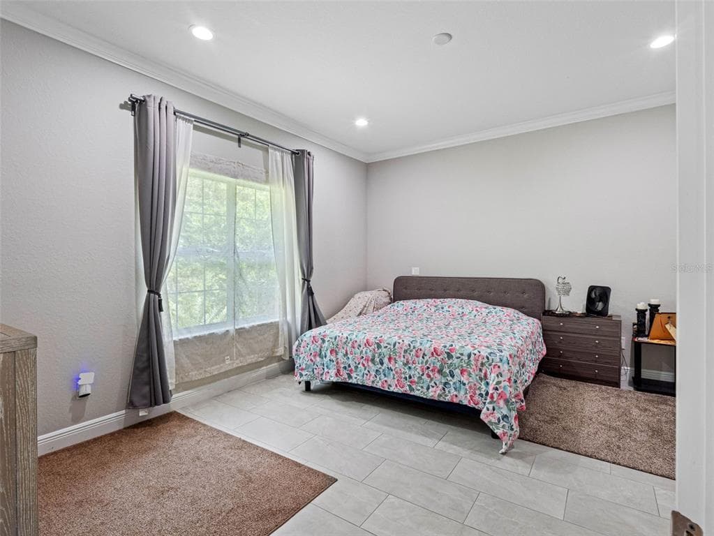 29817 GANGA WAY, WESLEY CHAPEL, FL 33543 — zdjęcie 5