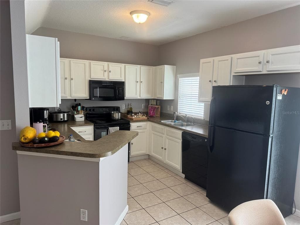 319 SUMMER CLOUDS PLACE, BRANDON, FL 33511 — zdjęcie 3