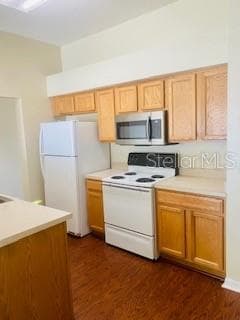 7731 MERCHANTVILLE CIRCLE, ZEPHYRHILLS, FL 33540 — zdjęcie 3