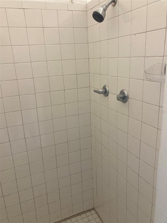 1401 E ALFRED STREET # 3, TAVARES, FL 32778 — zdjęcie 4