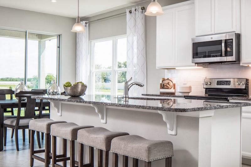 1100 OCEAN LODGE ROAD, LADY LAKE, FL 32159 — zdjęcie 3
