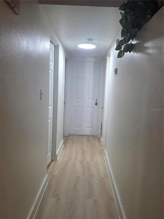 1005 KIMBALL DRIVE, OCOEE, FL 34761 — zdjęcie 2