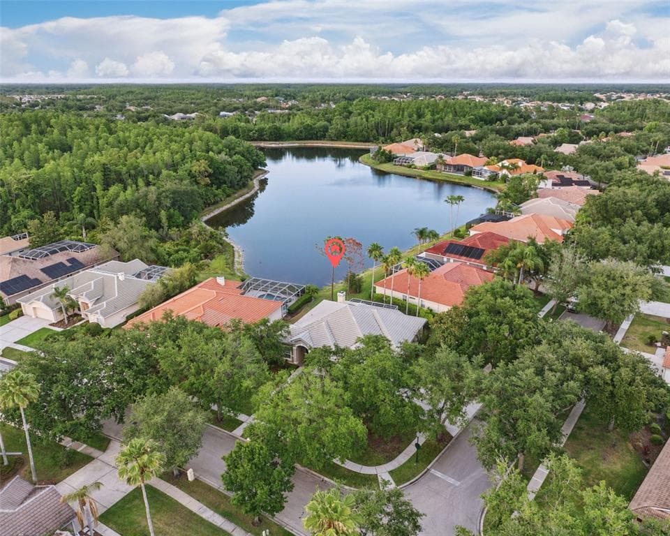 10232 ESTUARY DRIVE, TAMPA, FL 33647 — zdjęcie 4