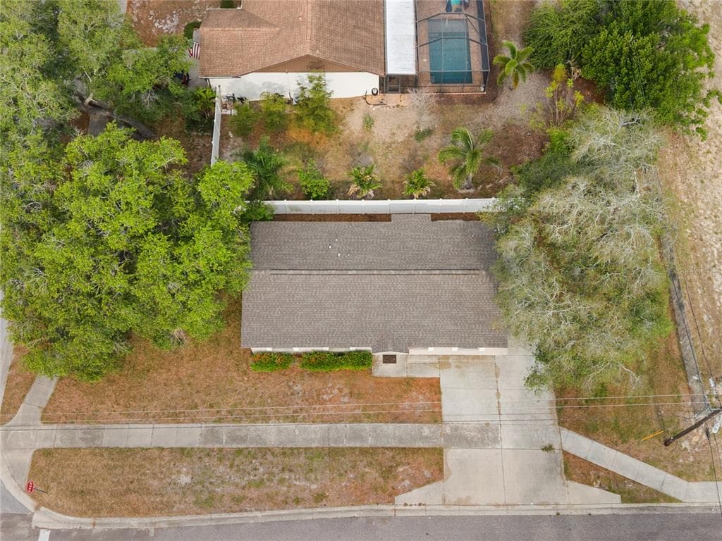 1221 E COURT STREET, TARPON SPRINGS, FL 34689 — zdjęcie 4