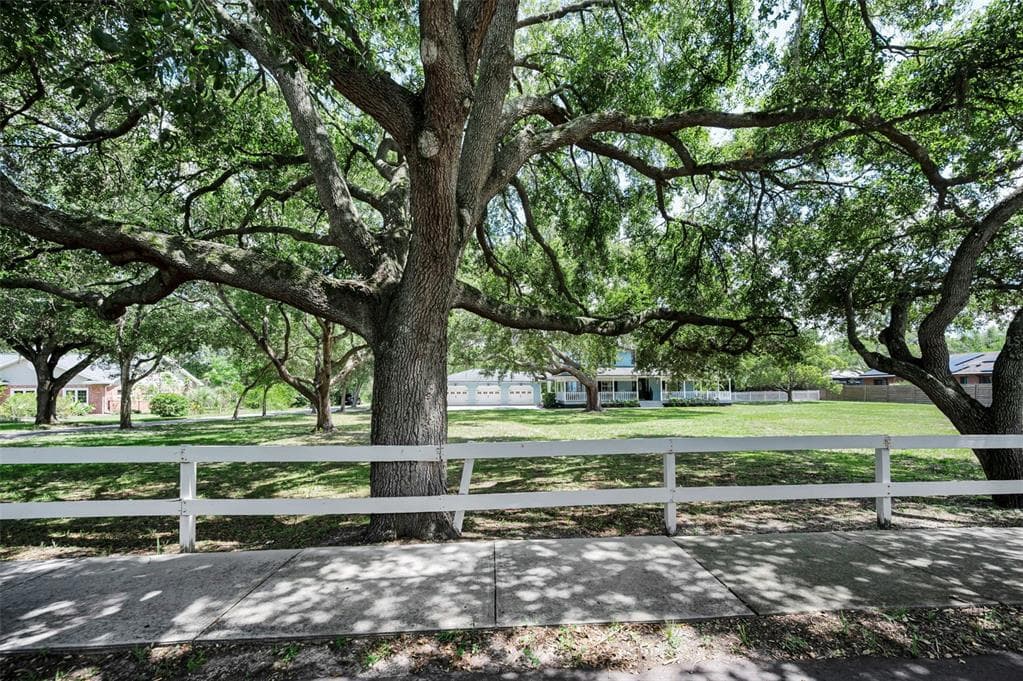 3525 FAIRVIEW STREET, SAFETY HARBOR, FL 34695 — zdjęcie 5