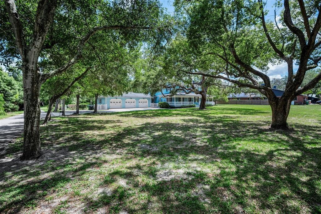 3525 FAIRVIEW STREET, SAFETY HARBOR, FL 34695 — zdjęcie 4