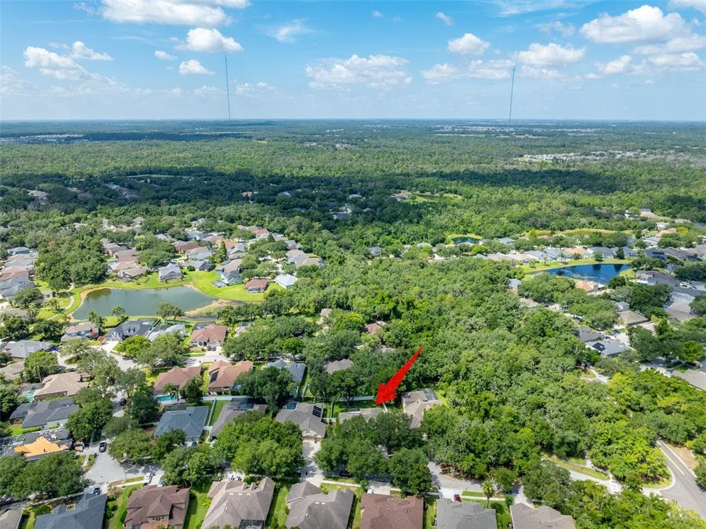15211 MERLINGLEN PLACE, LITHIA, FL 33547 — zdjęcie 3