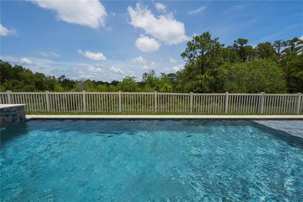 18233 ROSEATE DRIVE, LUTZ, FL 33558 — zdjęcie 5