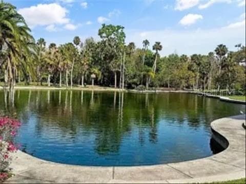119 TOMOKA TRAIL # 119, LONGWOOD, FL 32779 — zdjęcie 3