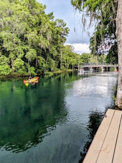 11591 MOCKINGBIRD DRIVE, DUNNELLON, FL 34432 — zdjęcie 5