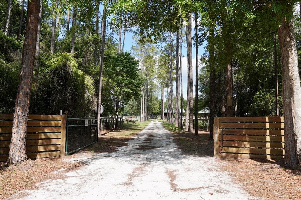 7191 NE 150TH AVENUE, WILLISTON, FL 32696 — zdjęcie 4