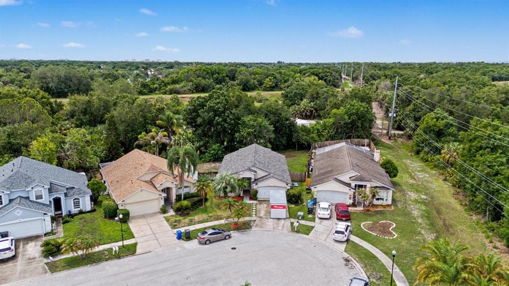 10238 CHARLESTON CORNER ROAD, TAMPA, FL 33635 — zdjęcie 5