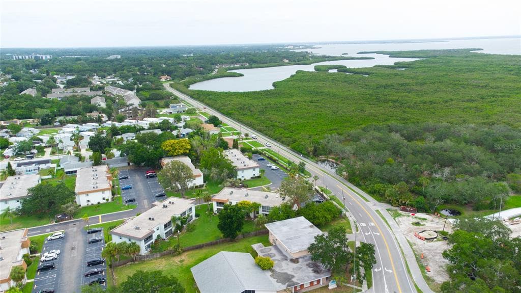 389 S MCMULLEN BOOTH ROAD # 12, CLEARWATER, FL 33759 — zdjęcie 4