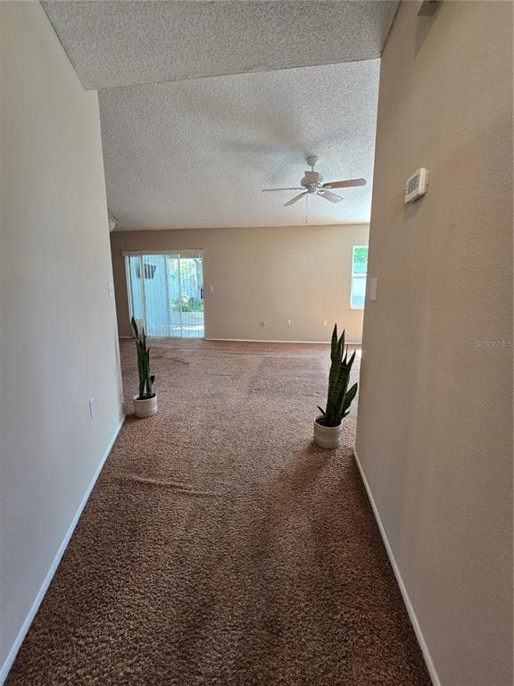 9836 MOREHEAD LANE, PORT RICHEY, FL 34668 — zdjęcie 4