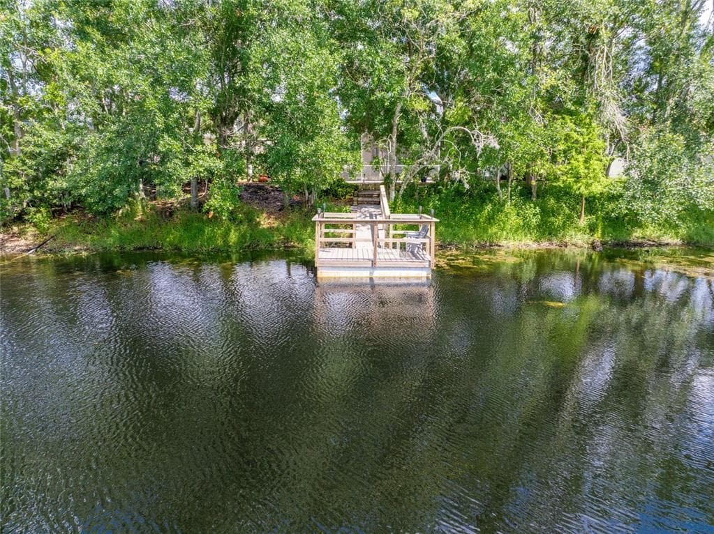 21629 SILVER BAY PLACE, LAND O LAKES, FL 34637 — zdjęcie 4