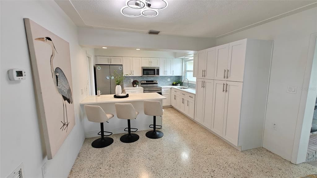 8521 42ND AVENUE N, ST PETERSBURG, FL 33709 — zdjęcie 3